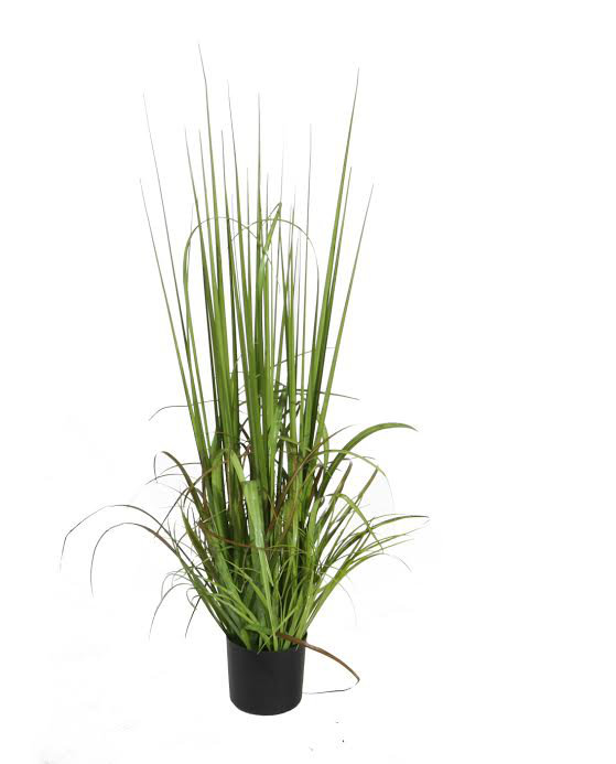 Northlight 39" Potted Green and Red Artificial Onion Grass Plant